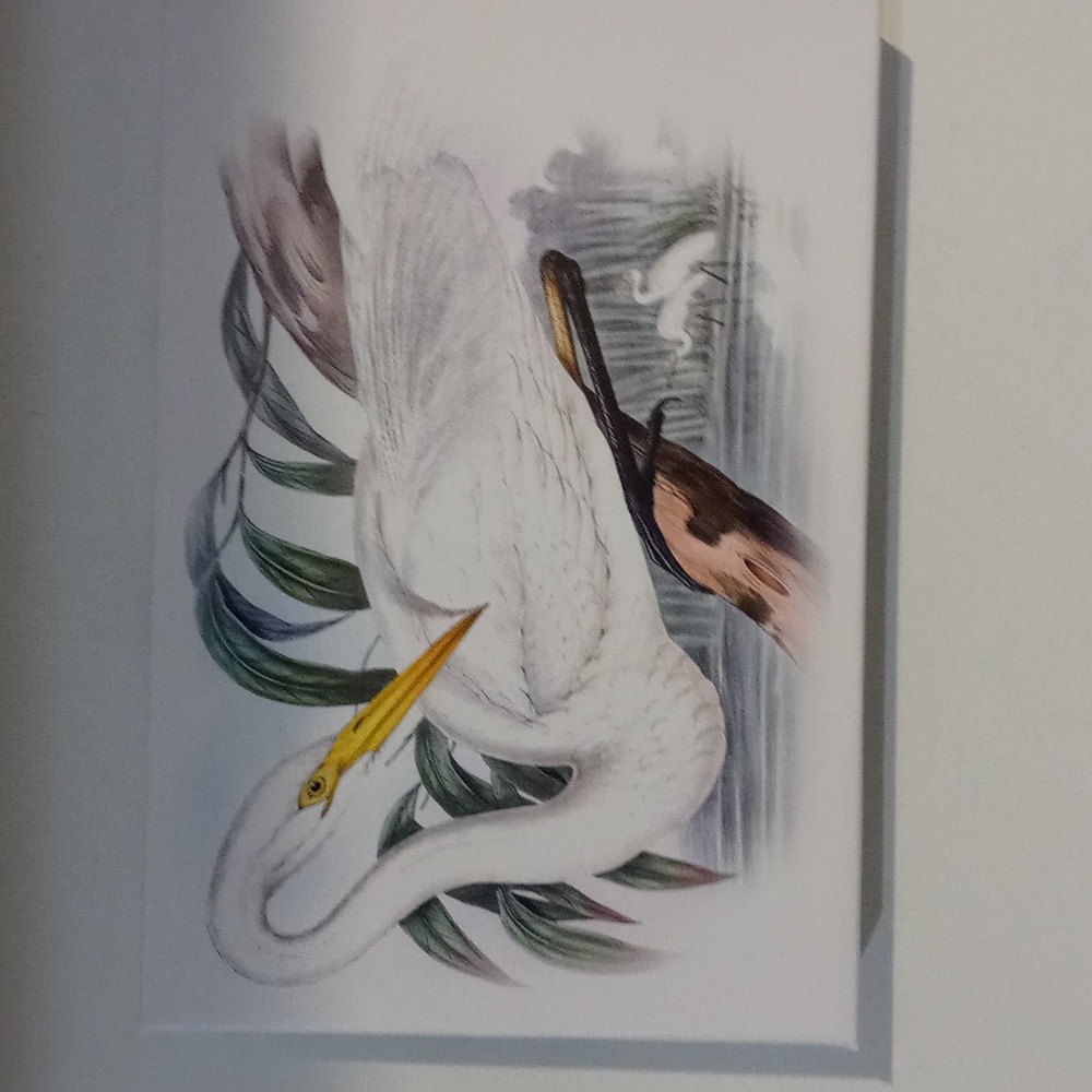 Design painting 12 x 8 - Picture 3 of 3